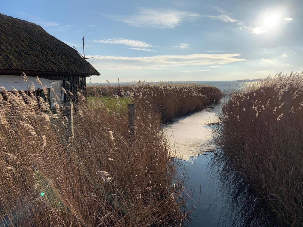 Appartamento Am Haferland "Darss-Traum" Wieck Esterno foto